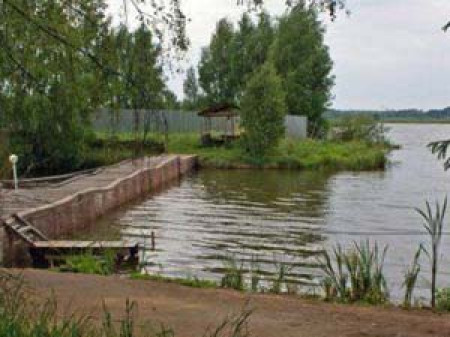 Пруды для платной рыбалки в скором времени появятся в Великом Новгороде